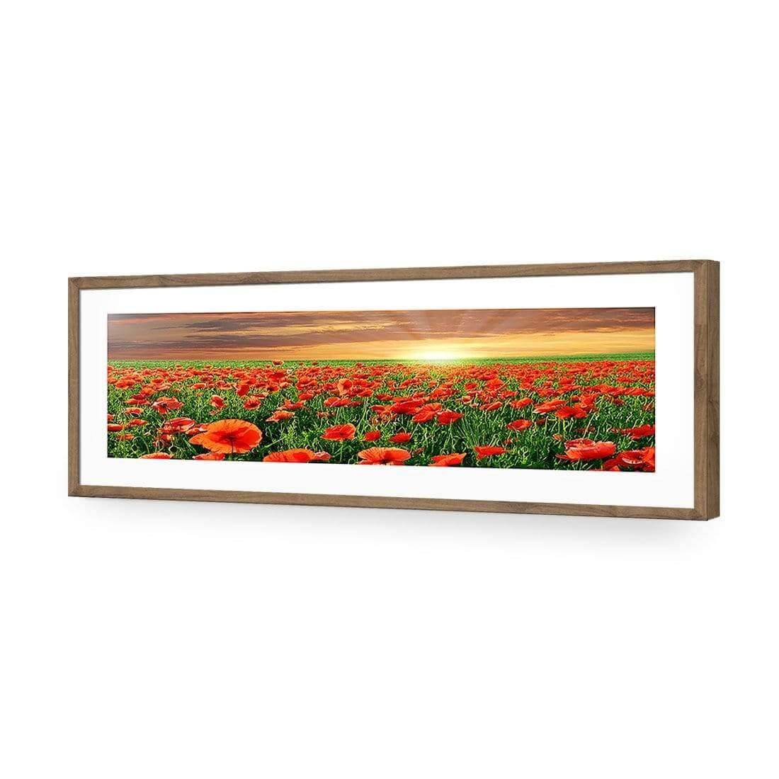 Anzac Poppy Field (long) - Wall Art Designs - 754_AL_H WAD_AP - 030 - MAT_90x30_S - 2538 - NAT