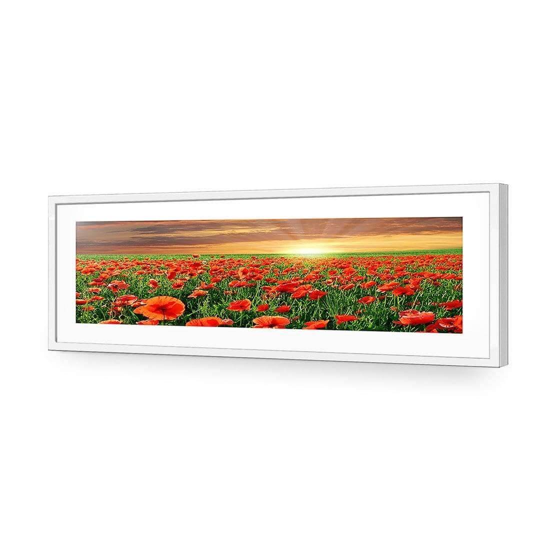 Anzac Poppy Field (long) - Wall Art Designs - 754_AL_H WAD_AP - 030 - MAT_90x30_S - 2538 - WHT