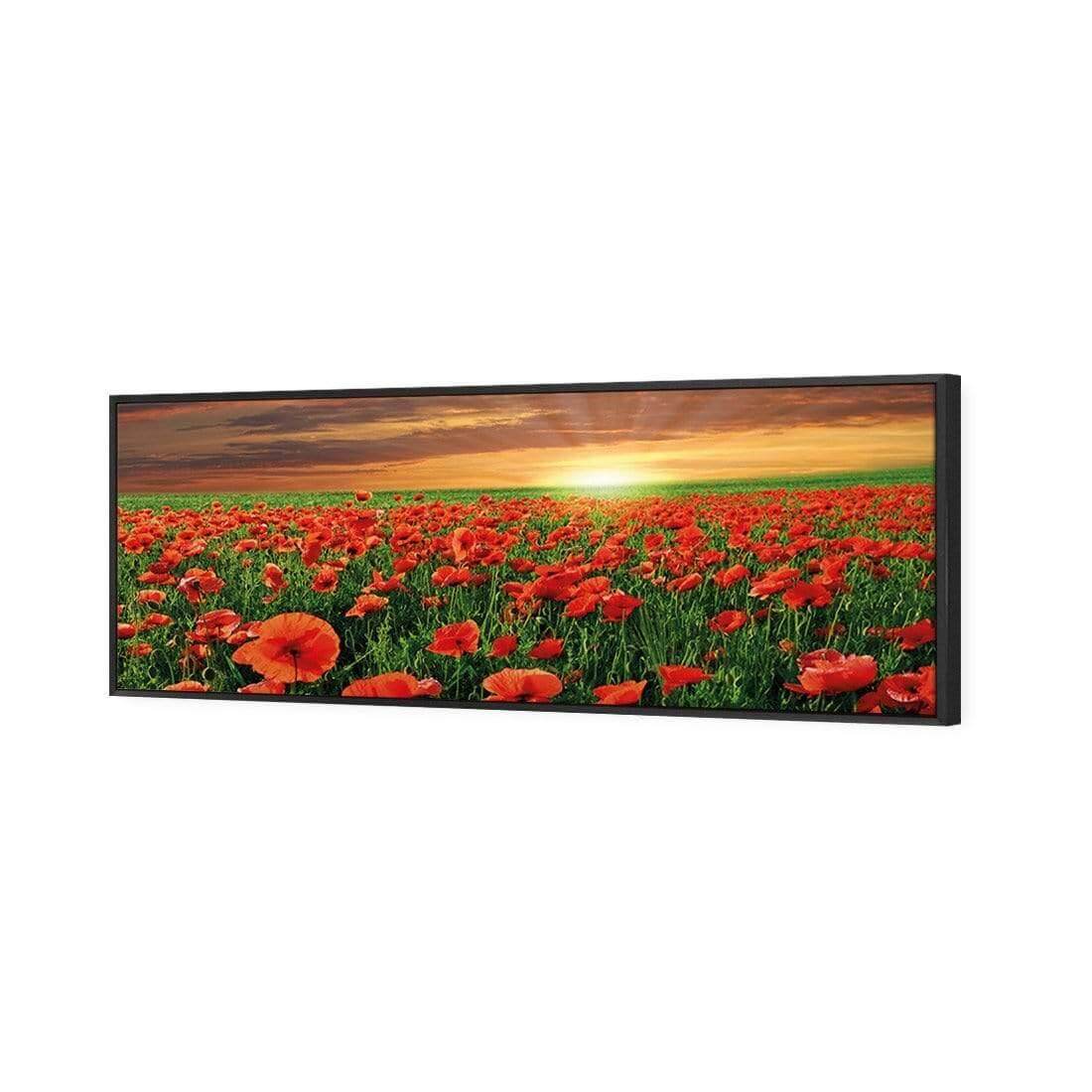 Anzac Poppy Field (long) - Wall Art Designs - 754_AL_H WAD_CP - MPY - 260 - M - S - S_60x20_S - 1550 - BLK