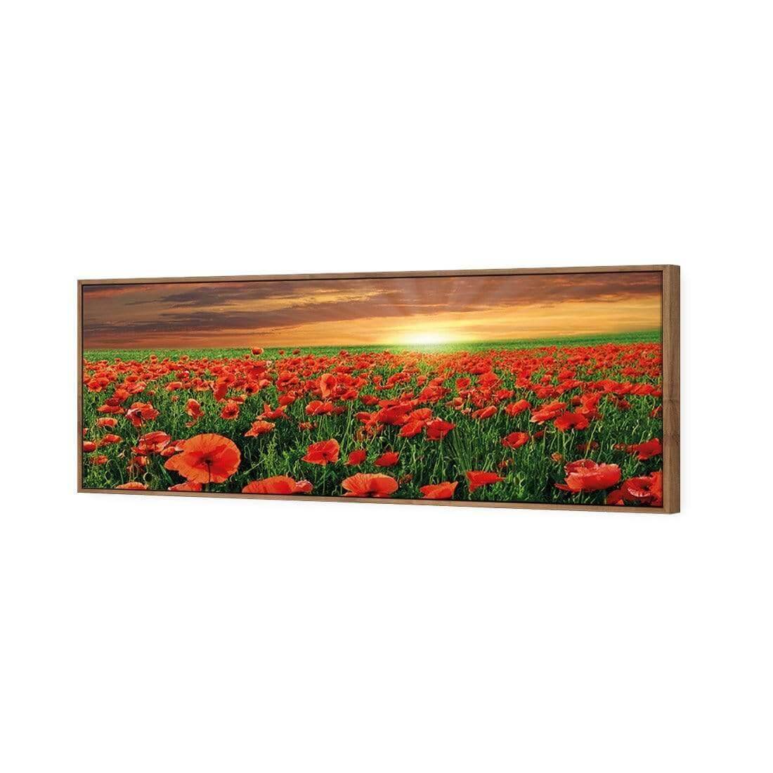 Anzac Poppy Field (long) - Wall Art Designs - 754_AL_H WAD_CP - MPY - 260 - M - S - S_60x20_S - 1550 - NAT