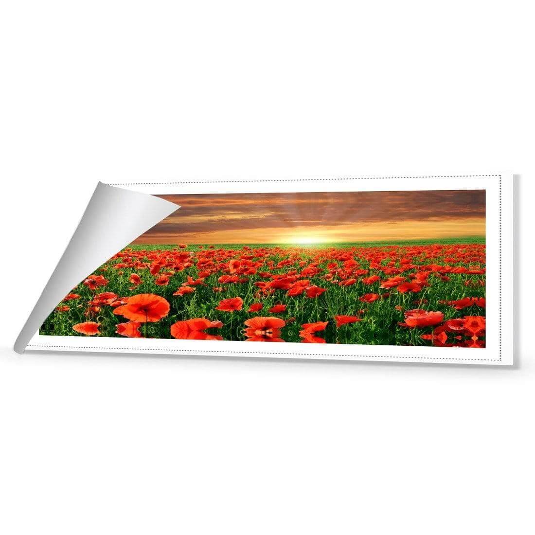 Anzac Poppy Field (long) - Wall Art Designs - 754_AL_H WAD_CP - MPY - 260 - M - R_60x20_NONE