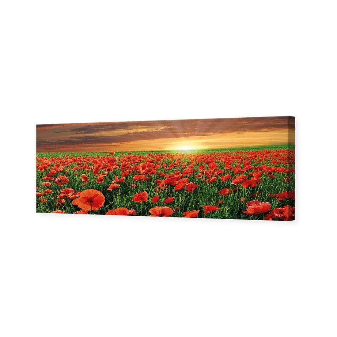 Anzac Poppy Field (long) - Wall Art Designs - 754_AL_H WAD_CP - MPY - 260 - M - S - S_60x20_NONE