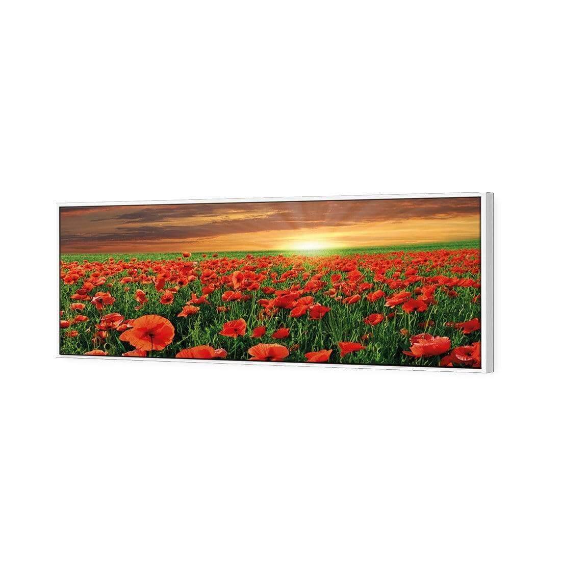 Anzac Poppy Field (long) - Wall Art Designs - 754_AL_H WAD_CP - MPY - 260 - M - S - S_60x20_S - 1550 - WHT