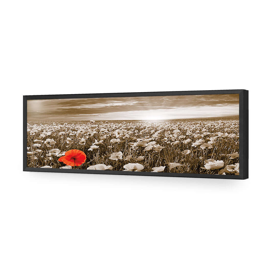 Anzac Poppy Field, Sepia (long) - Wall Art Designs - 754_CL_H WAD_AP - 030 - EDG_90x30_S - 2538 - BLK