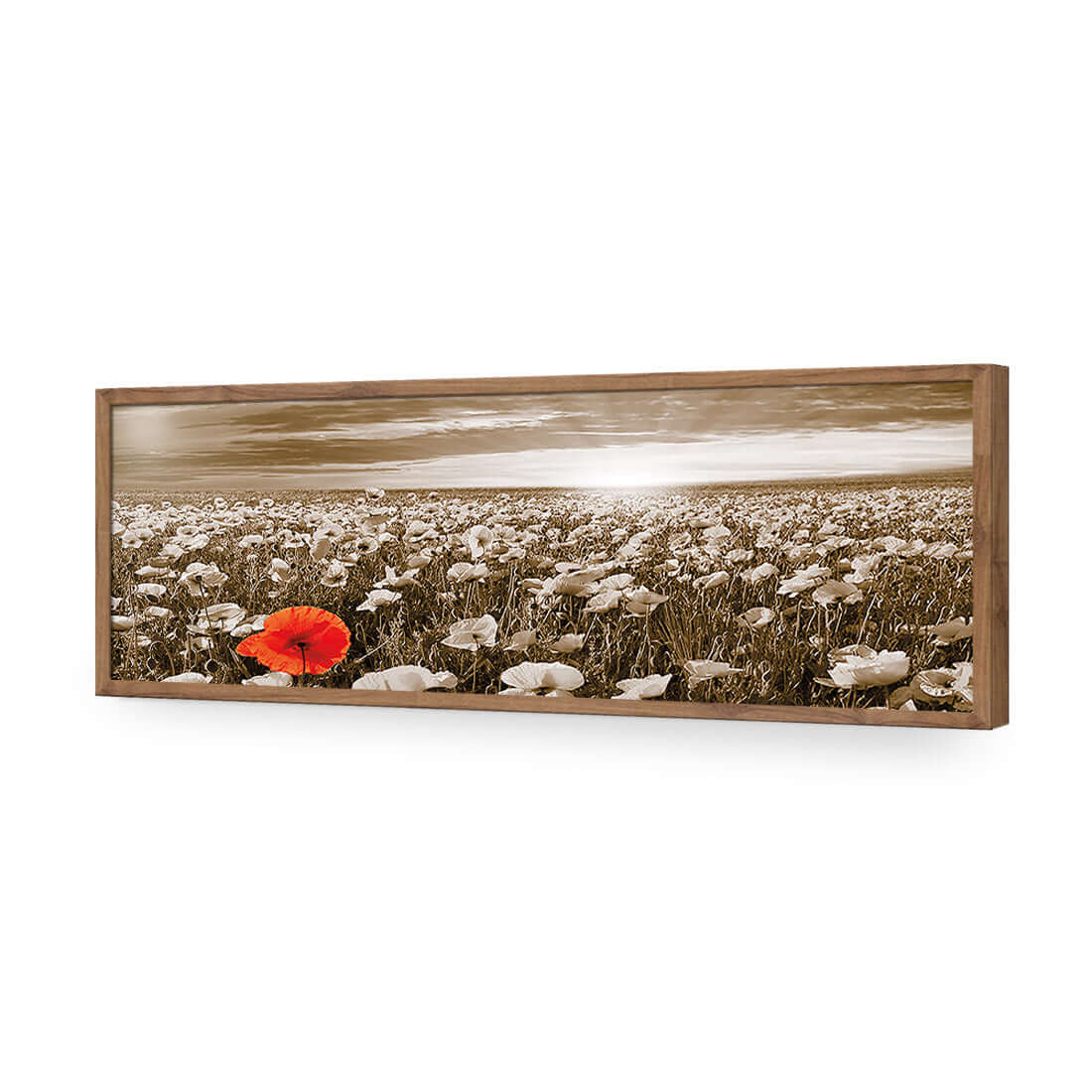 Anzac Poppy Field, Sepia (long) - Wall Art Designs - 754_CL_H WAD_AP - 030 - EDG_90x30_S - 2538 - NAT