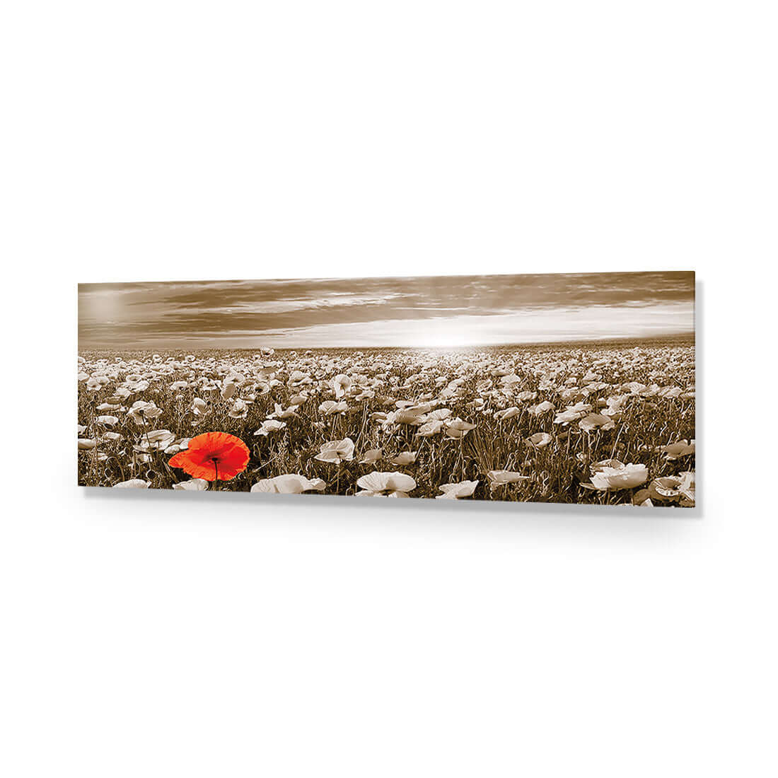 Anzac Poppy Field, Sepia (long) - Wall Art Designs - 754_CL_H WAD_AP - 030 - EDG_90x30_NONE