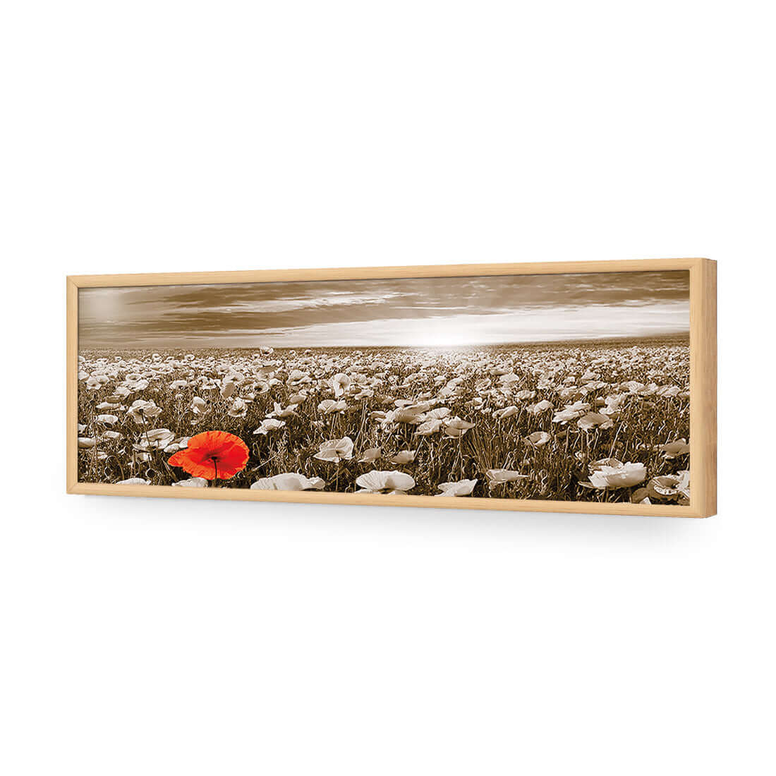 Anzac Poppy Field, Sepia (long) - Wall Art Designs - 754_CL_H WAD_AP - 030 - EDG_90x30_S - 2538 - OAK