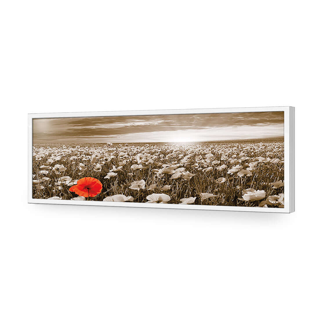 Anzac Poppy Field, Sepia (long) - Wall Art Designs - 754_CL_H WAD_AP - 030 - EDG_90x30_S - 2538 - WHT