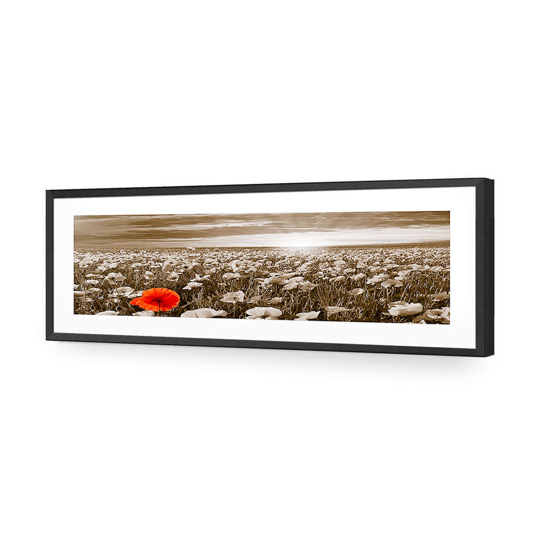 Anzac Poppy Field, Sepia (long) - Wall Art Designs - 754_CL_H WAD_AP - 030 - MAT_90x30_S - 2538 - BLK