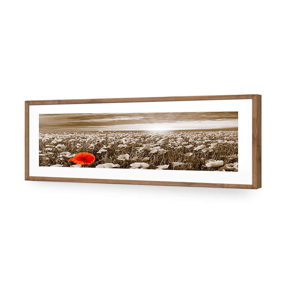 Anzac Poppy Field, Sepia (long) - Wall Art Designs - 754_CL_H WAD_AP - 030 - MAT_90x30_S - 2538 - NAT