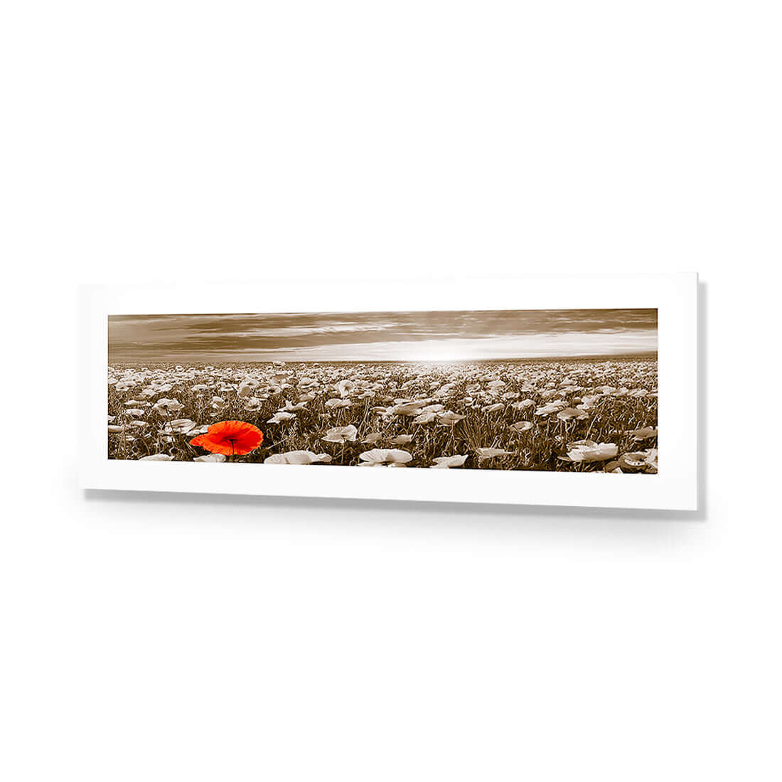 Anzac Poppy Field, Sepia (long) - Wall Art Designs - 754_CL_H WAD_AP - 030 - MAT_90x30_NONE