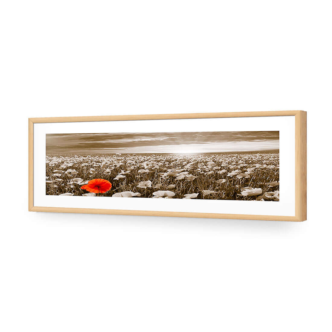 Anzac Poppy Field, Sepia (long) - Wall Art Designs - 754_CL_H WAD_AP - 030 - MAT_90x30_S - 2538 - OAK