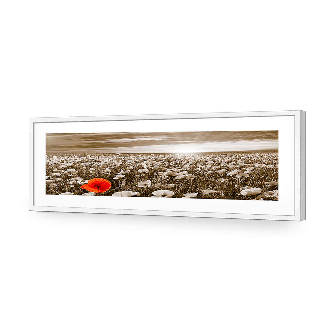 Anzac Poppy Field, Sepia (long) - Wall Art Designs - 754_CL_H WAD_AP - 030 - MAT_90x30_S - 2538 - WHT