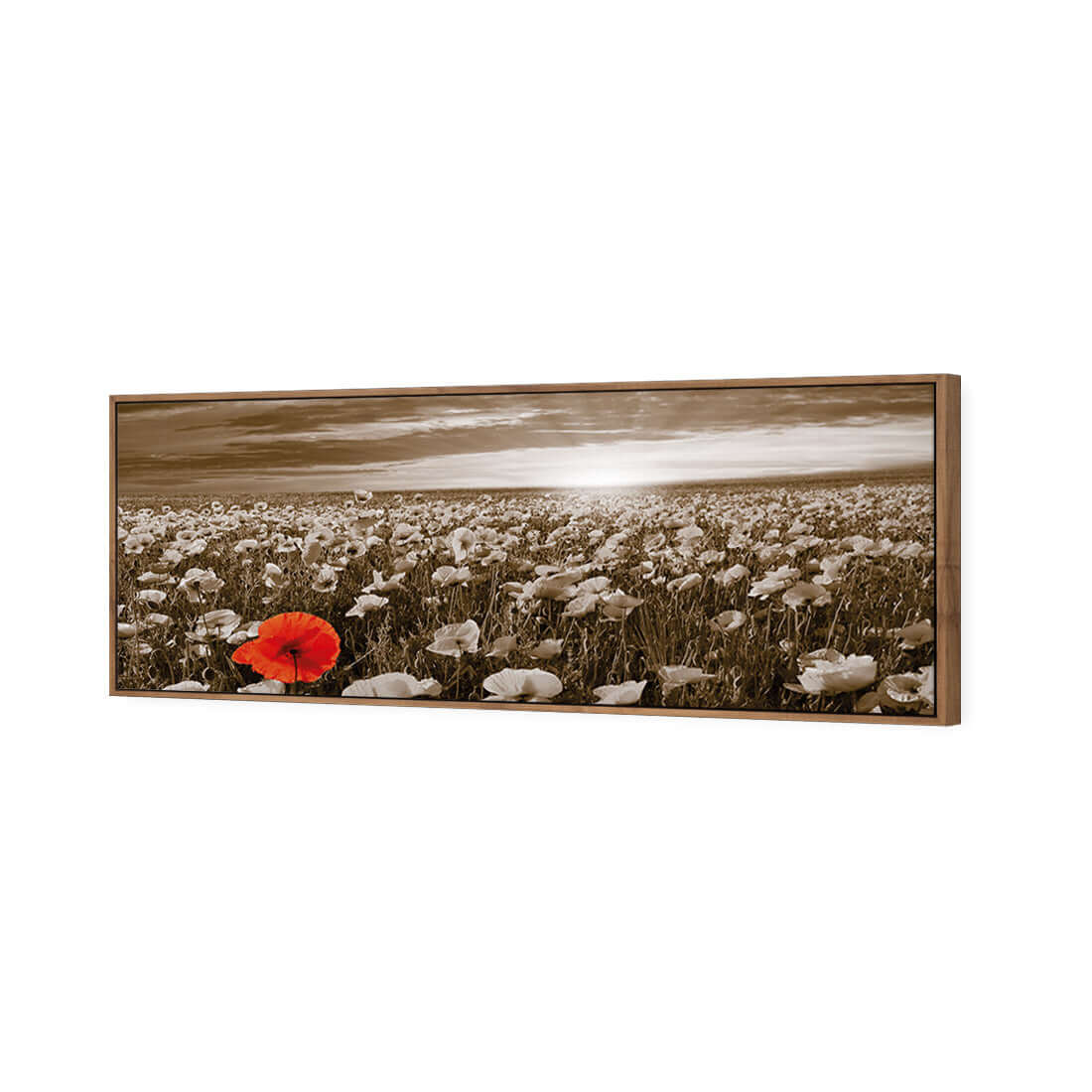 Anzac Poppy Field, Sepia (long) - Wall Art Designs - 754_CL_H WAD_CP - MPY - 260 - M - S - S_60x20_S - 1550 - NAT