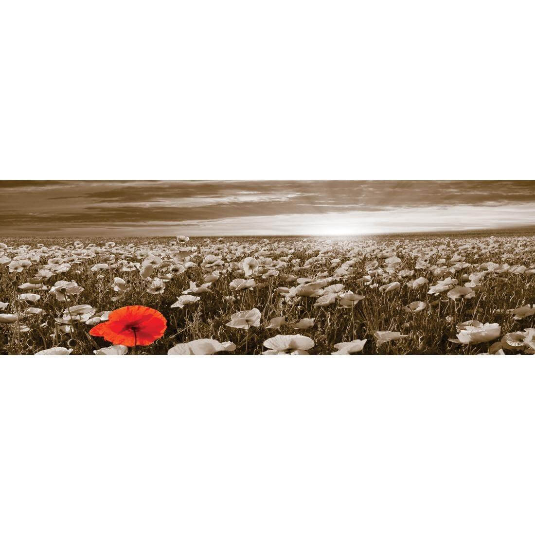 Anzac Poppy Field, Sepia (long) - Wall Art Designs - 754_CL_H WAD_CP - MPY - 260 - M - S - S_60x20_NONE