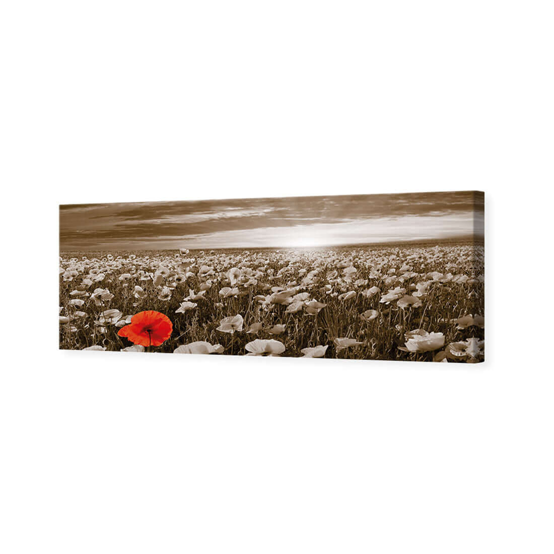 Anzac Poppy Field, Sepia (long) - Wall Art Designs - 754_CL_H WAD_CP - MPY - 260 - M - S - S_60x20_NONE