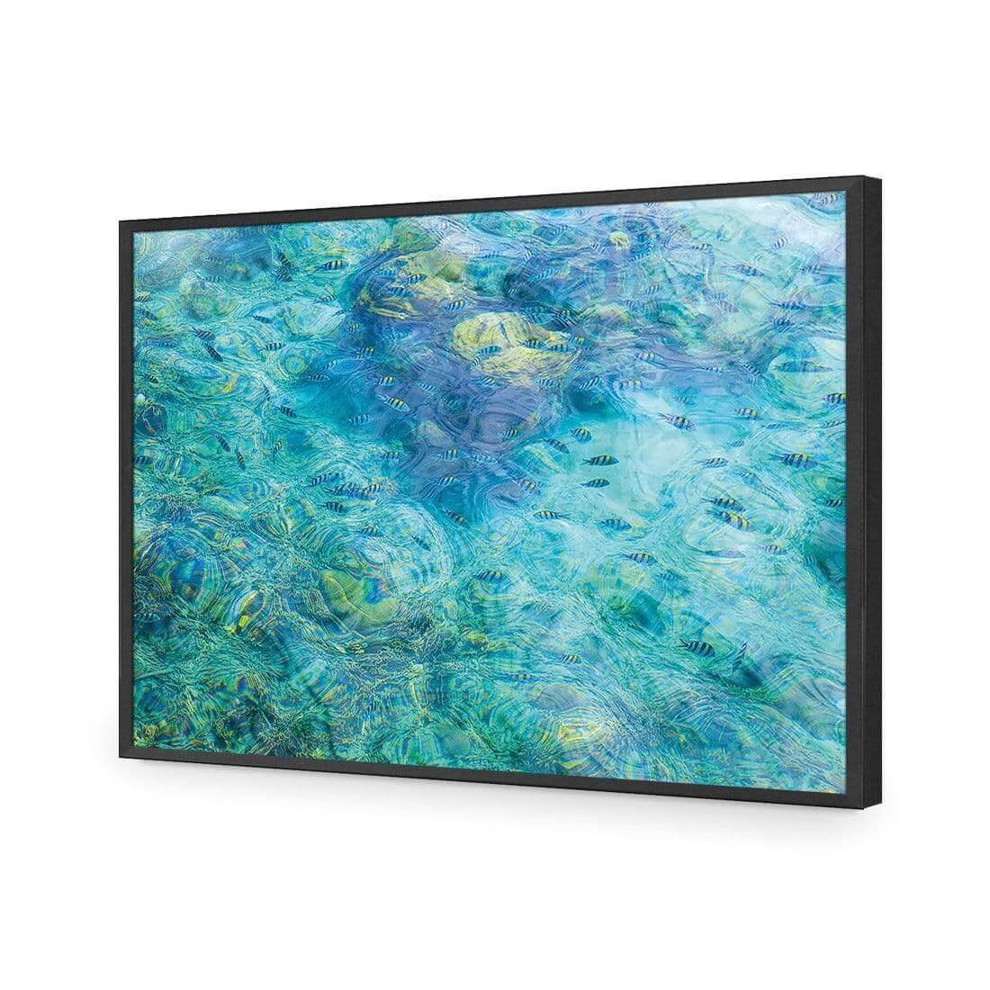 Aqua School - Wall Art Designs - AU_1013_AR_H WAD_AP - 030 - EDG_45x30_S - 2538 - BLK