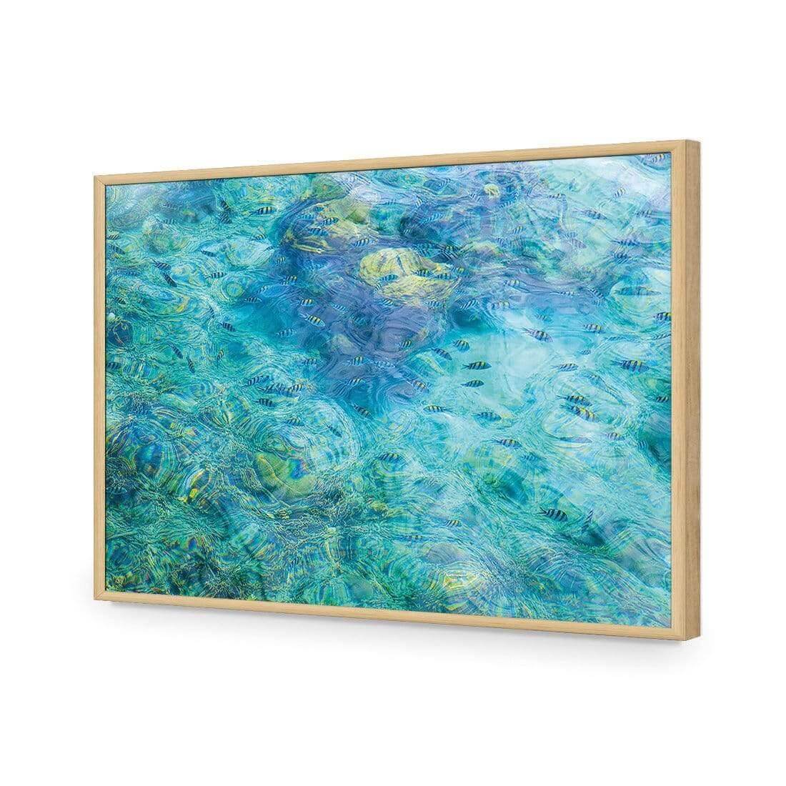 Aqua School - Wall Art Designs - AU_1013_AR_H WAD_AP - 030 - EDG_45x30_S - 2538 - OAK