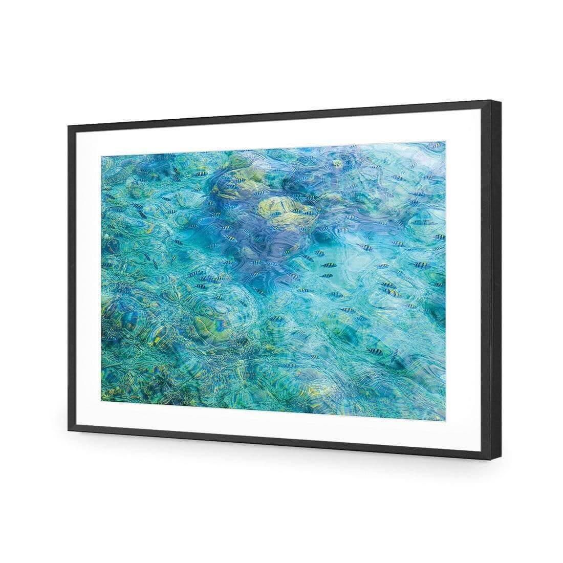 Aqua School - Wall Art Designs - AU_1013_AR_H WAD_AP - 030 - MAT_45x30_S - 2538 - BLK