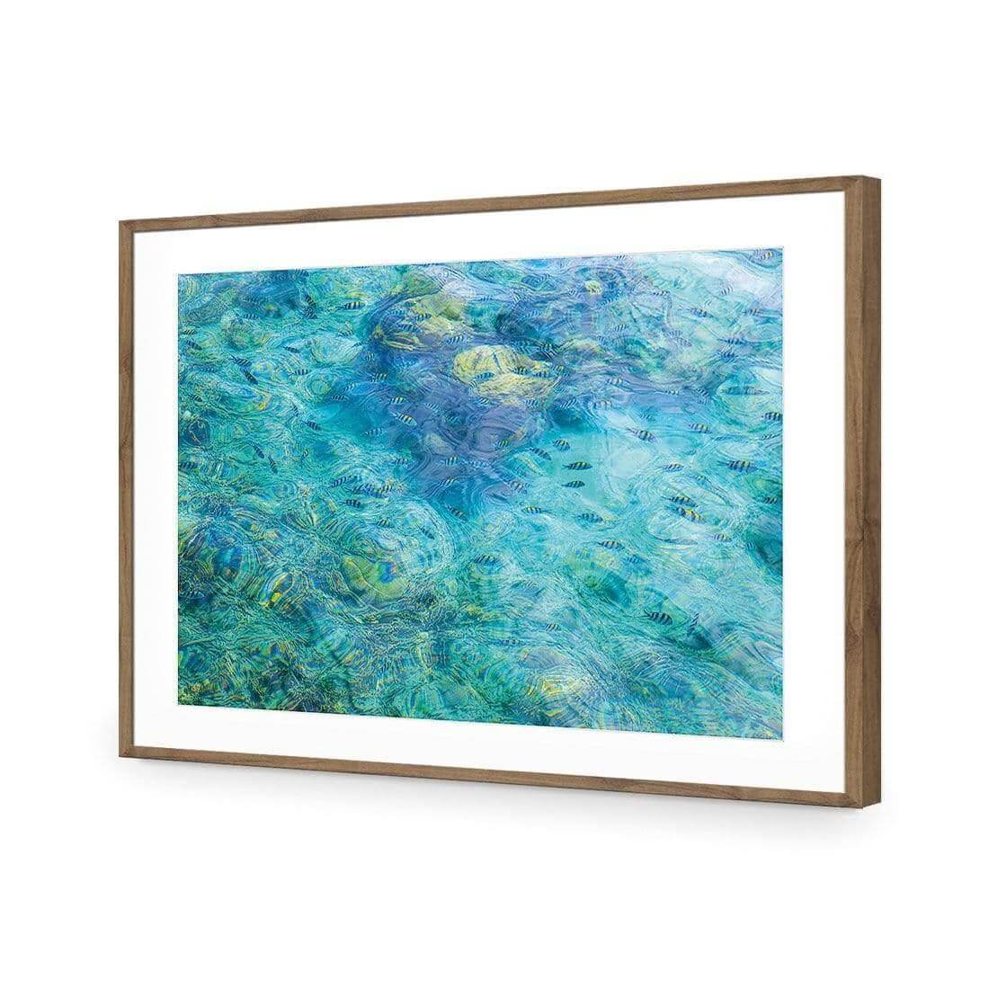 Aqua School - Wall Art Designs - AU_1013_AR_H WAD_AP - 030 - MAT_45x30_S - 2538 - NAT