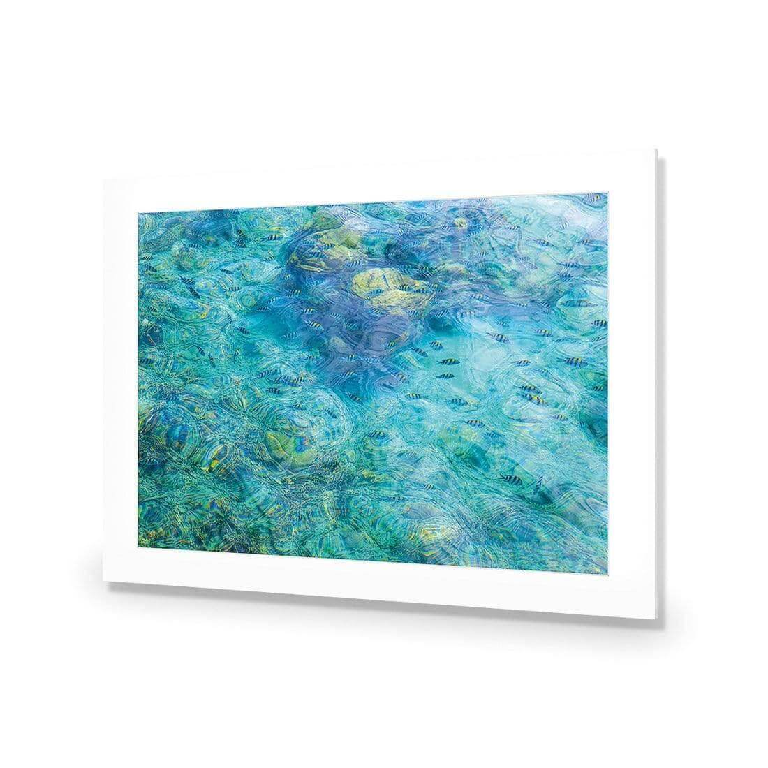 Aqua School - Wall Art Designs - AU_1013_AR_H WAD_AP - 030 - MAT_45x30_NONE