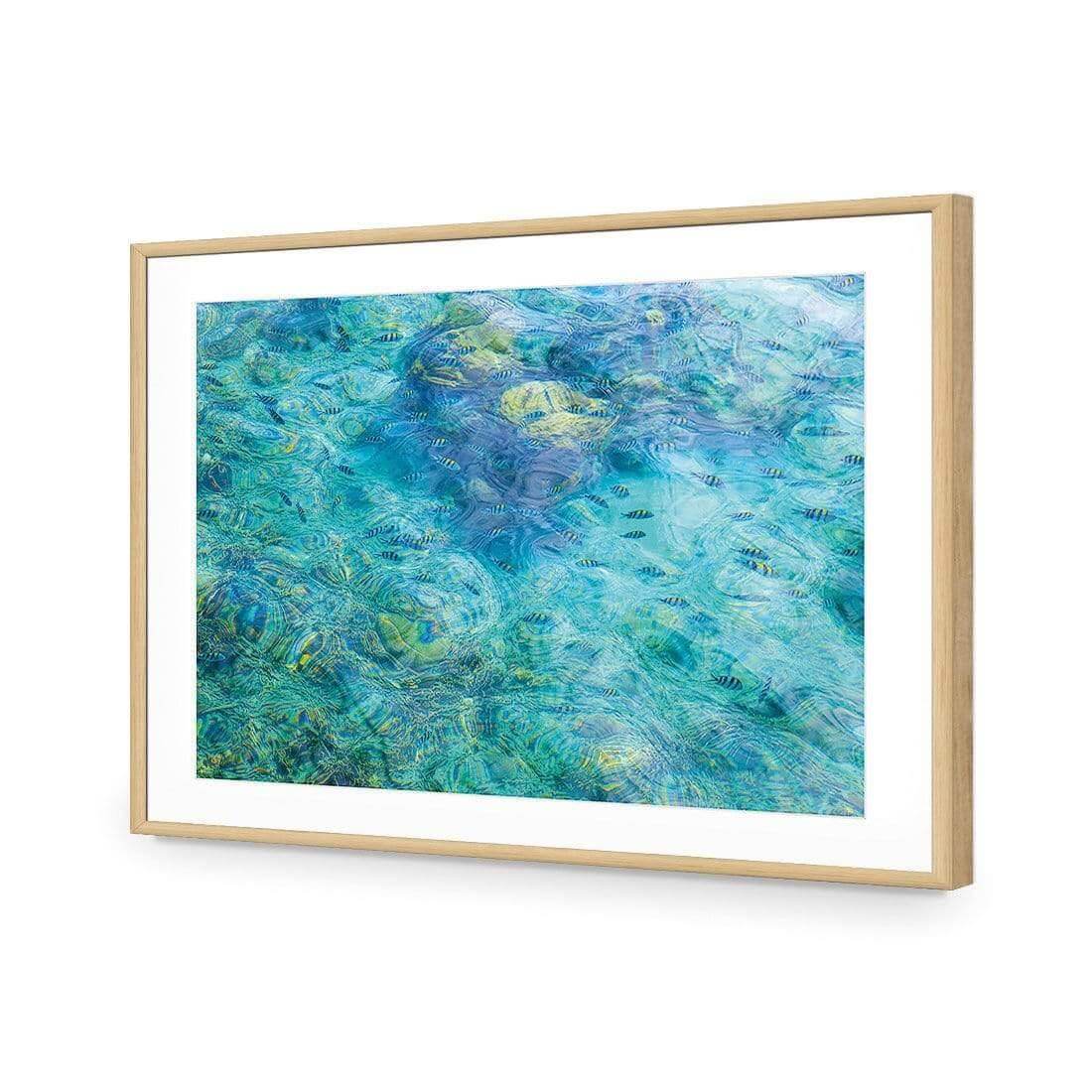 Aqua School - Wall Art Designs - AU_1013_AR_H WAD_AP - 030 - MAT_45x30_S - 2538 - OAK