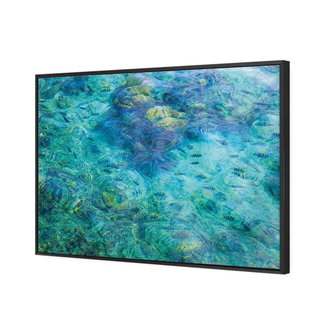 Aqua School - Wall Art Designs - AU_1013_AR_H WAD_CP - MPY - 260 - M - S - S_45x30_S - 1550 - BLK