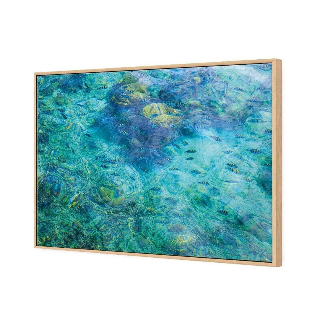 Aqua School - Wall Art Designs - AU_1013_AR_H WAD_CP - MPY - 260 - M - S - S_45x30_S - 1550 - OAK