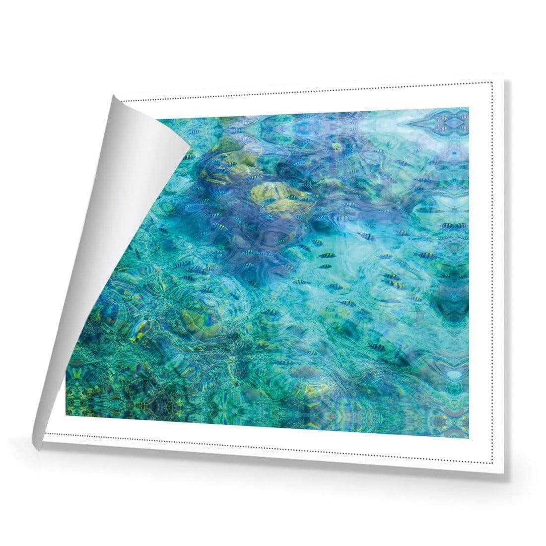 Aqua School - Wall Art Designs - AU_1013_AR_H WAD_CP - MPY - 260 - M - R_45x30_NONE