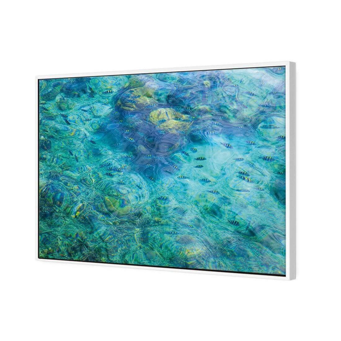 Aqua School - Wall Art Designs - AU_1013_AR_H WAD_CP - MPY - 260 - M - S - S_45x30_S - 1550 - WHT