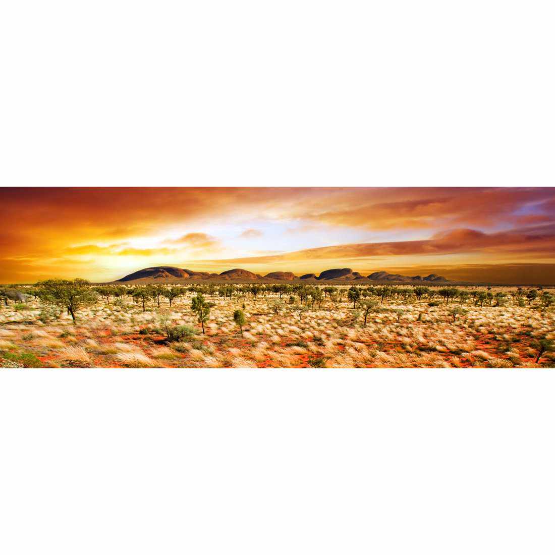 Australian Outback Sunset Canvas Art - Wall Art Designs - 1452_AL_H WAD_CP - MPY - 260 - M - S - S_60x20_NONE