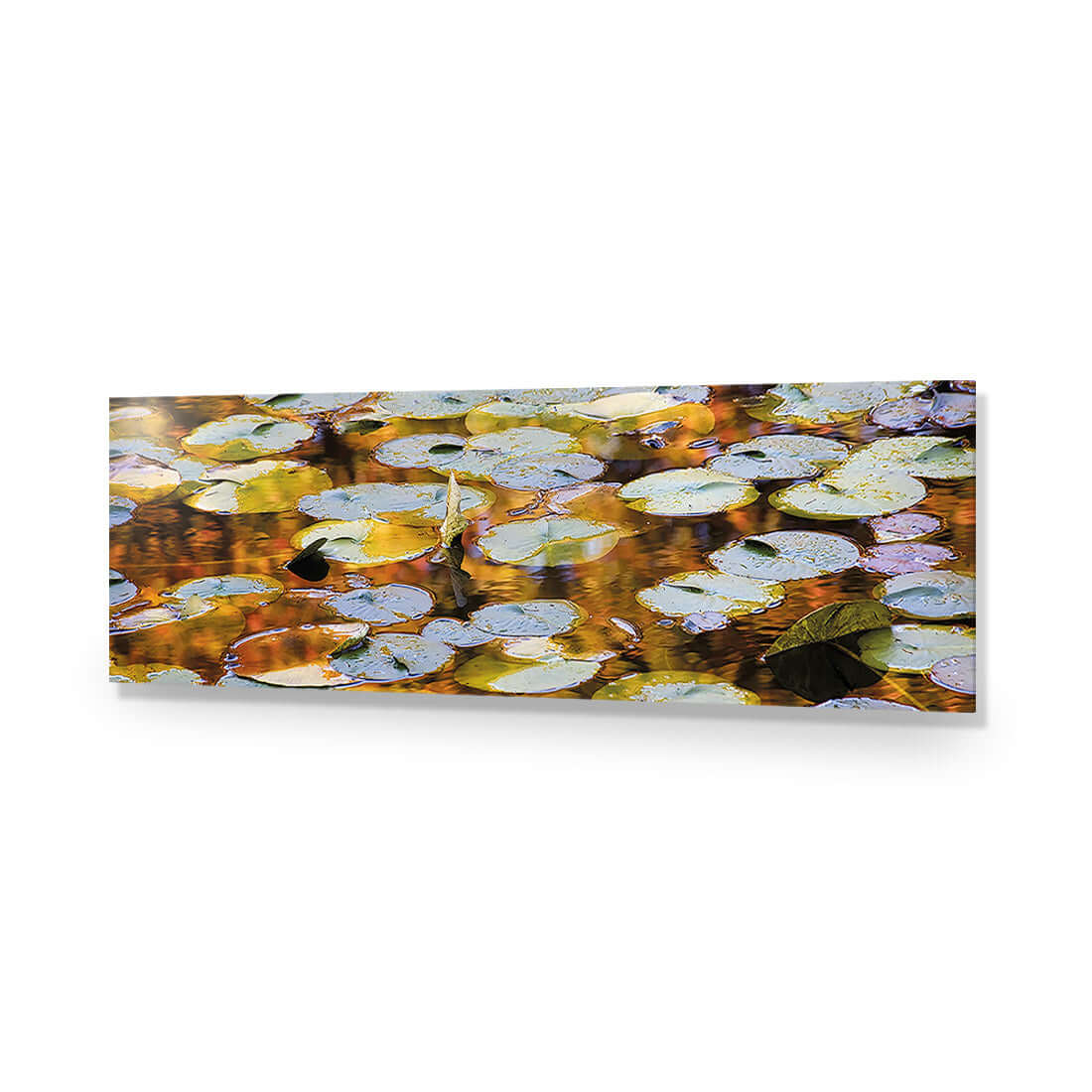 Autumn Lilypads (Long) - Wall Art Designs - 3041_AL_H WAD_AP - 030 - EDG_90x30_NONE