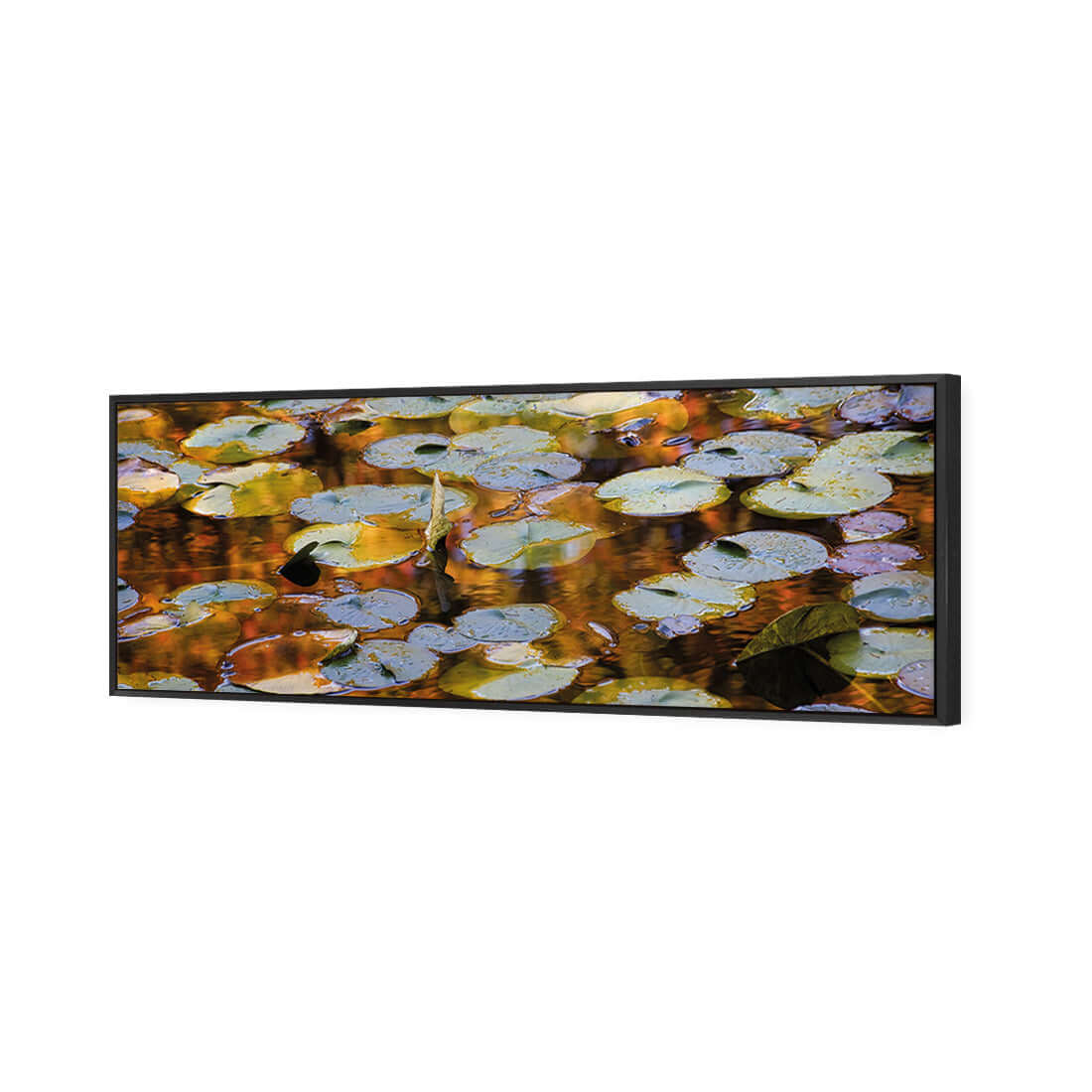 Autumn Lilypads (Long) - Wall Art Designs - 3041_AL_H WAD_CP - MPY - 260 - M - S - S_60x20_S - 1550 - BLK