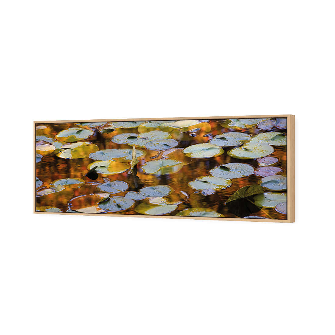 Autumn Lilypads (Long) - Wall Art Designs - 3041_AL_H WAD_CP - MPY - 260 - M - S - S_60x20_S - 1550 - OAK