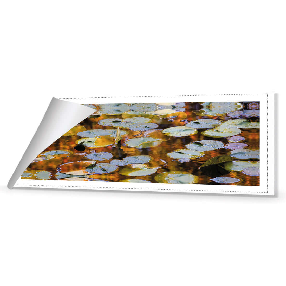 Autumn Lilypads (Long) - Wall Art Designs - 3041_AL_H WAD_CP - MPY - 260 - M - R_60x20_NONE