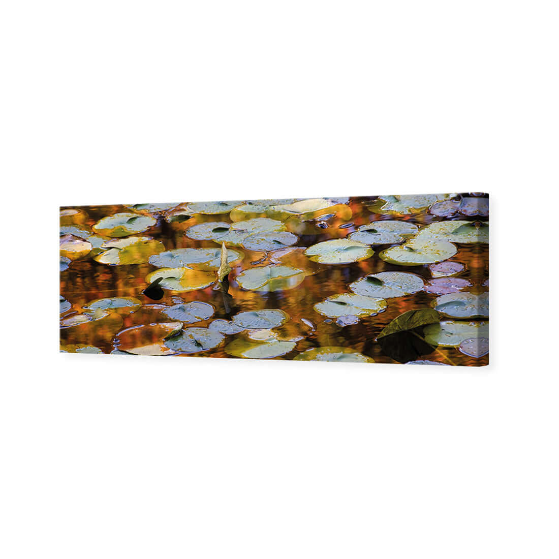 Autumn Lilypads (Long) - Wall Art Designs - 3041_AL_H WAD_CP - MPY - 260 - M - S - S_60x20_NONE