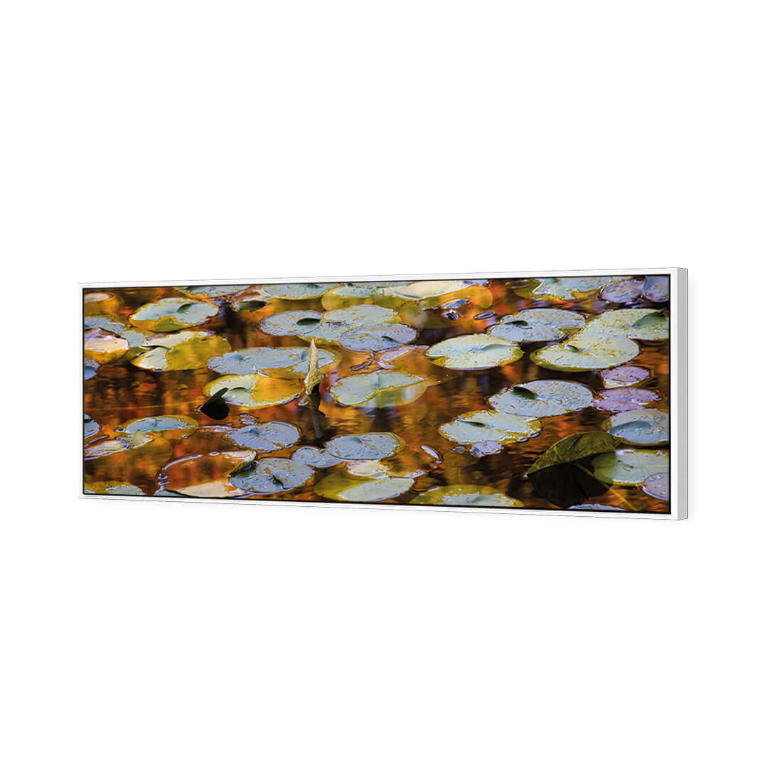 Autumn Lilypads (Long) - Wall Art Designs - 3041_AL_H WAD_CP - MPY - 260 - M - S - S_60x20_S - 1550 - WHT