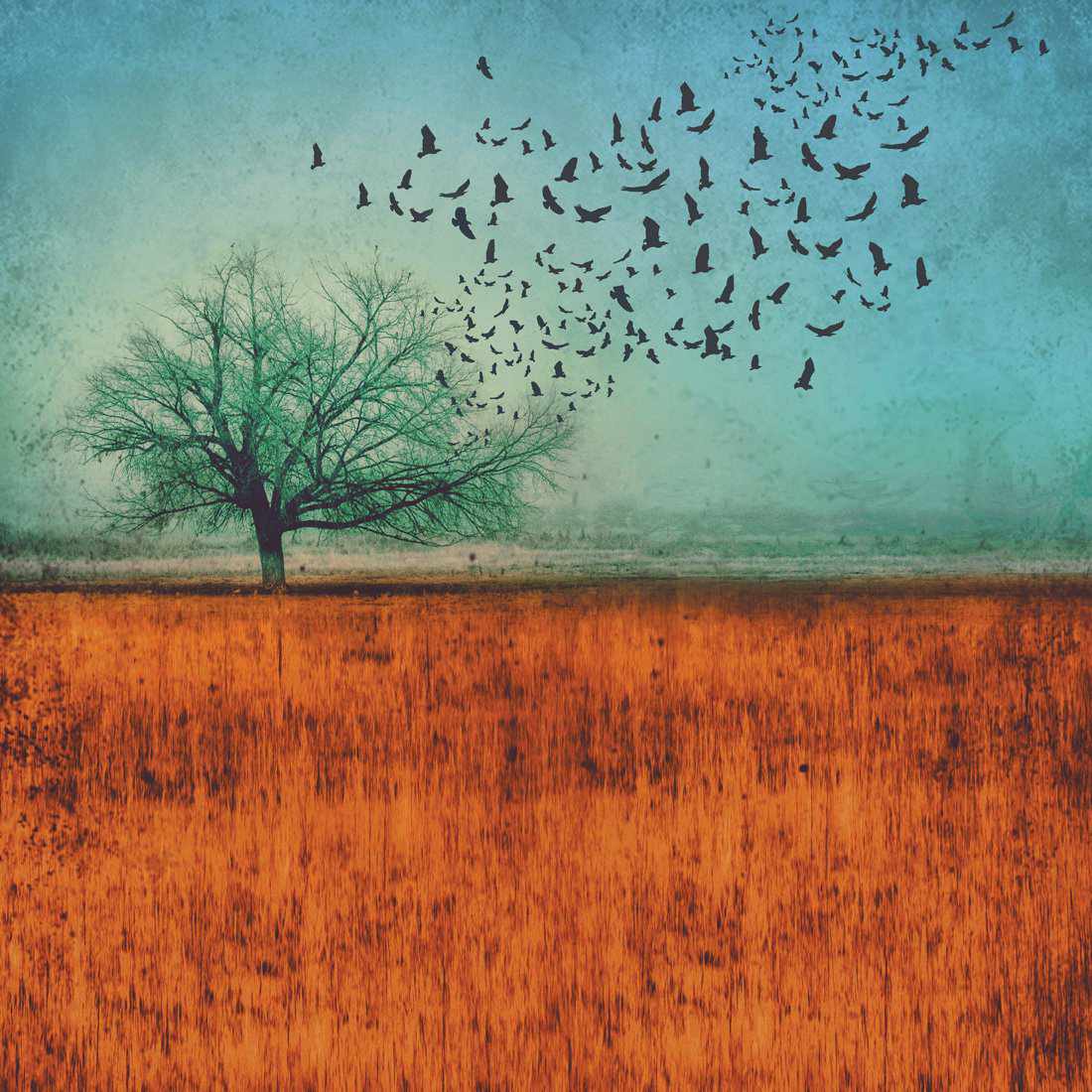 Autumn Migration Canvas Art - Wall Art Designs - 2481_AS_Q WAD_CP - MPY - 260 - M - S - S_30x30_NONE