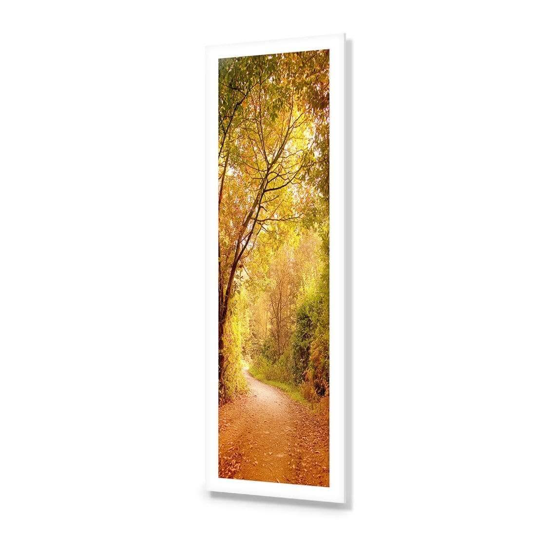 Autumn Pathway (Long) - Wall Art Designs - 1159_AL_V WAD_AP - 030 - MAT_90x30_NONE