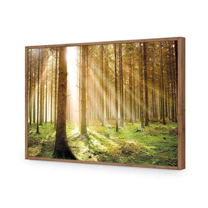 Autumn Pine Forest | Classic Acrylic | Flat Frame No Border | Natural