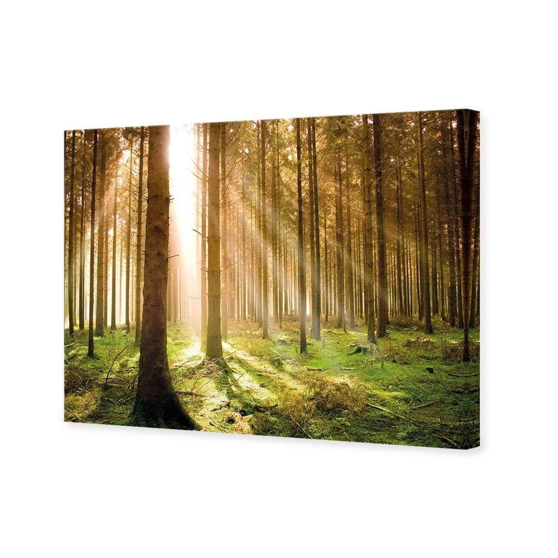 Autumn Pine Forest - Wall Art Designs - 896_AR_H WAD_CP - MPY - 260 - M - S - S_45x30_NONE