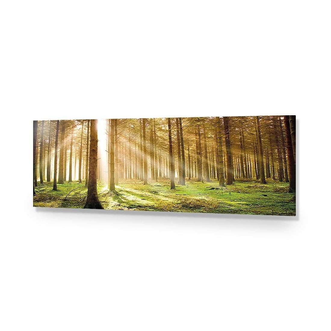 Autumn Pine Forest (Long) - Wall Art Designs - 896_AL_H WAD_AP - 030 - EDG_90x30_NONE