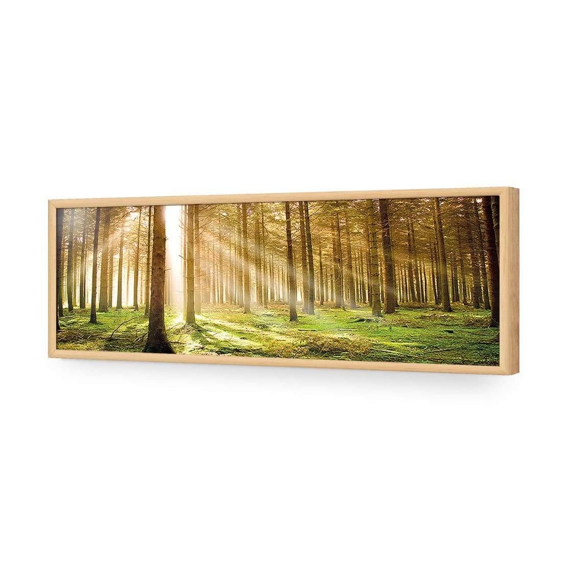 Autumn Pine Forest (Long) - Wall Art Designs - 896_AL_H WAD_AP - 030 - EDG_90x30_S - 2538 - OAK