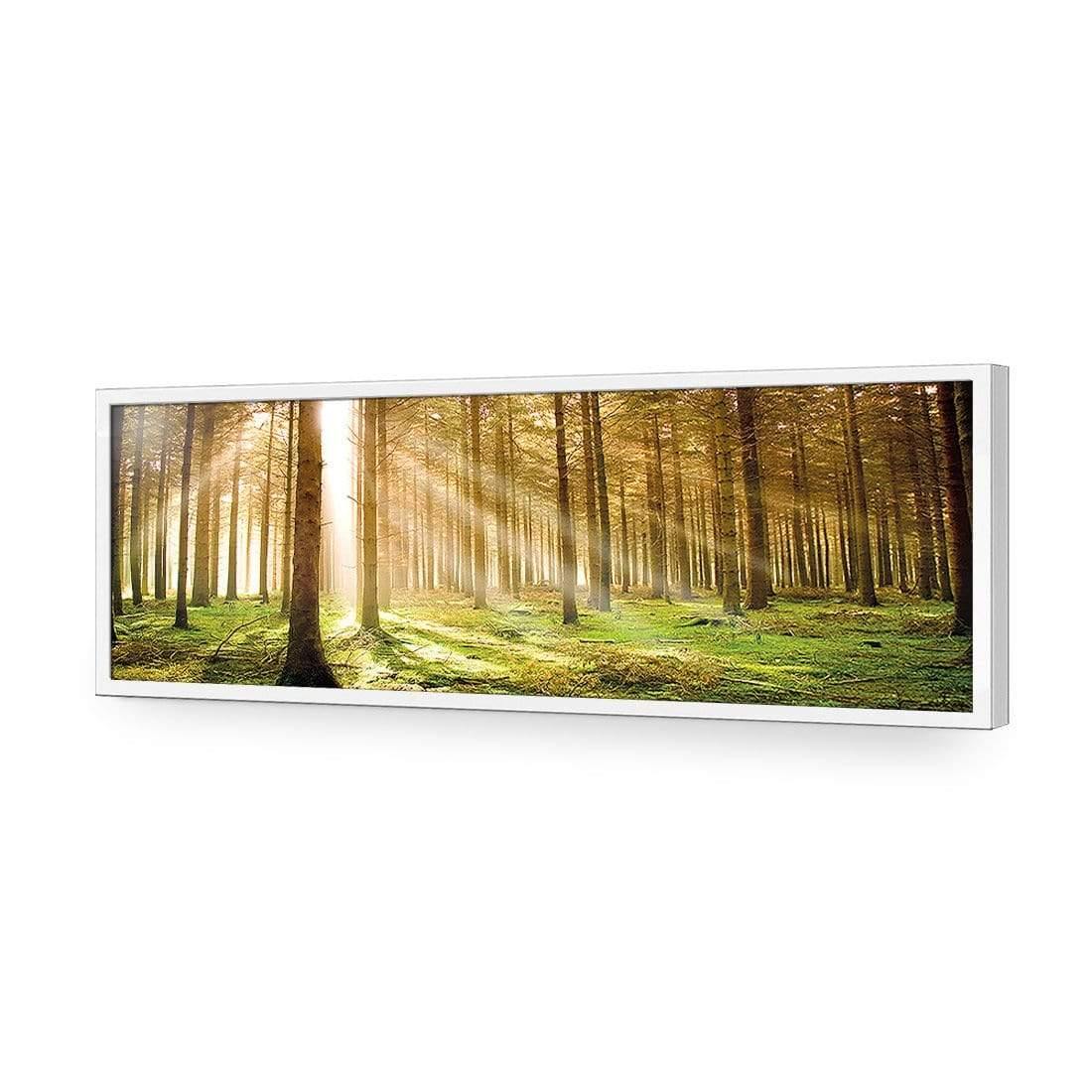 Autumn Pine Forest (Long) - Wall Art Designs - 896_AL_H WAD_AP - 030 - EDG_90x30_S - 2538 - WHT