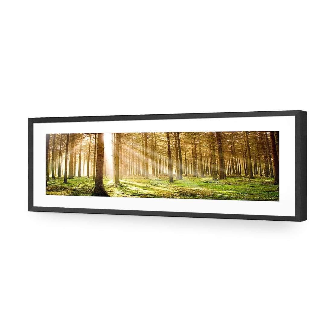 Autumn Pine Forest (Long) - Wall Art Designs - 896_AL_H WAD_AP - 030 - MAT_90x30_S - 2538 - BLK