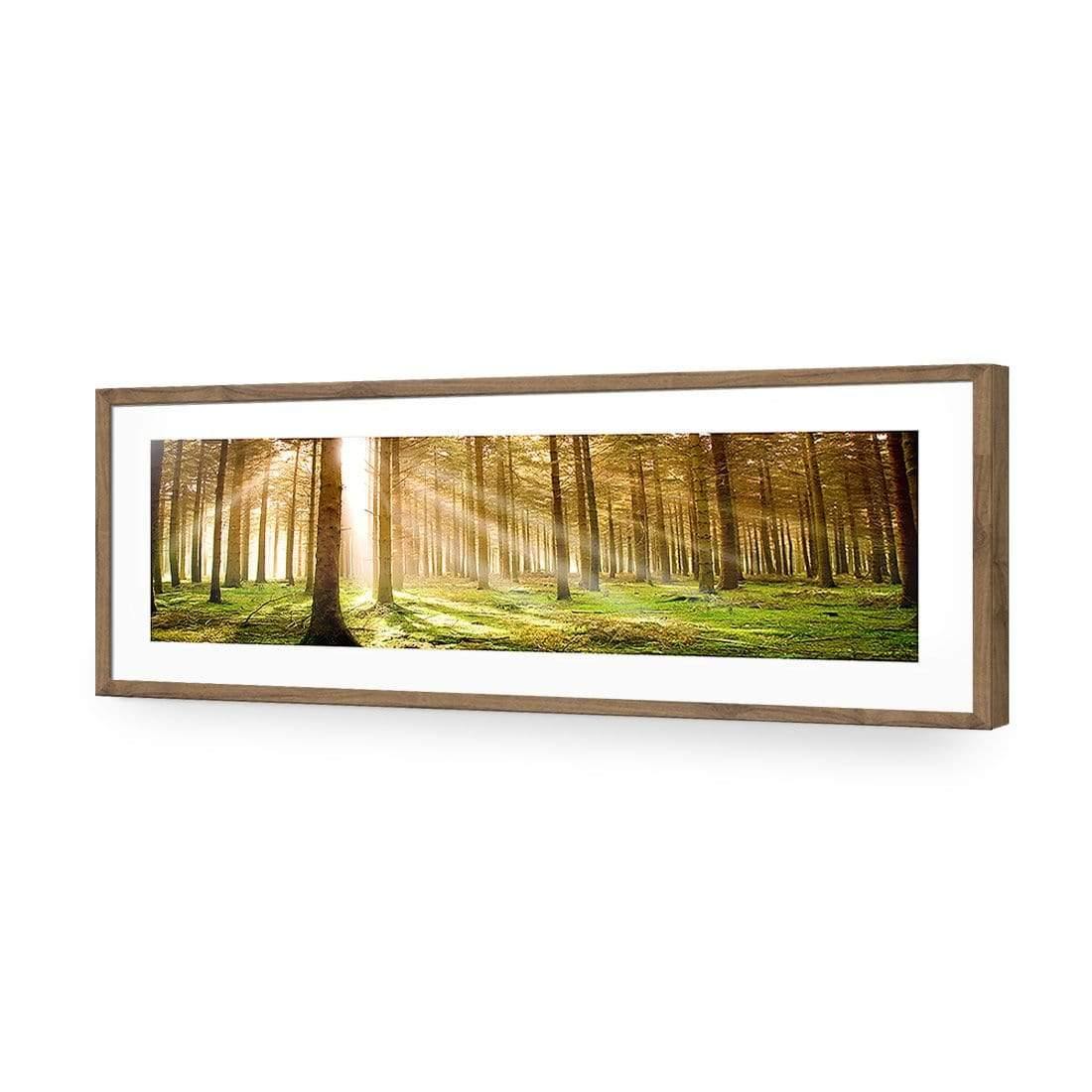 Autumn Pine Forest (Long) - Wall Art Designs - 896_AL_H WAD_AP - 030 - MAT_90x30_S - 2538 - NAT