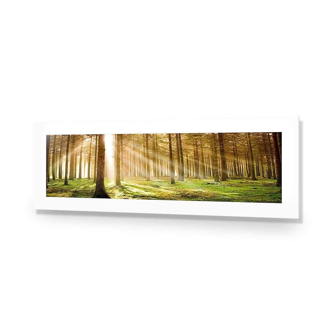 Autumn Pine Forest (Long) - Wall Art Designs - 896_AL_H WAD_AP - 030 - MAT_90x30_NONE