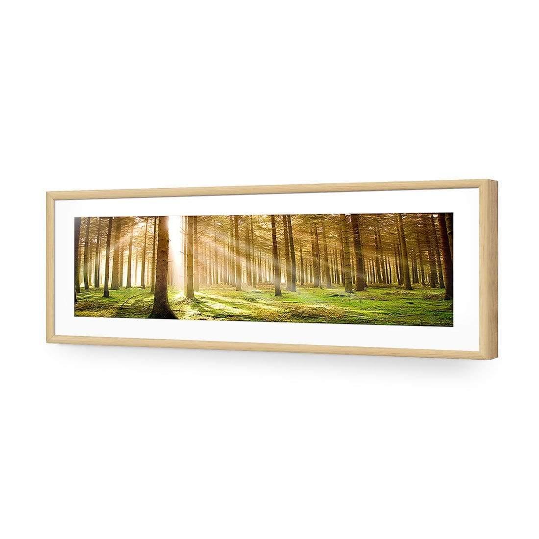 Autumn Pine Forest (Long) - Wall Art Designs - 896_AL_H WAD_AP - 030 - MAT_90x30_S - 2538 - OAK