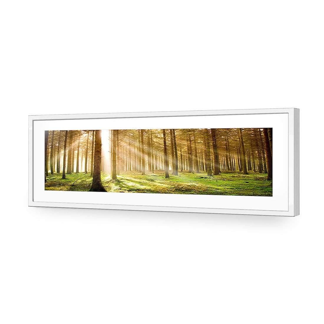 Autumn Pine Forest (Long) - Wall Art Designs - 896_AL_H WAD_AP - 030 - MAT_90x30_S - 2538 - WHT