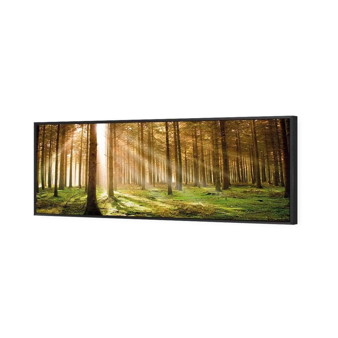 Autumn Pine Forest (Long) - Wall Art Designs - 896_AL_H WAD_CP - MPY - 260 - M - S - S_60x20_S - 1550 - BLK